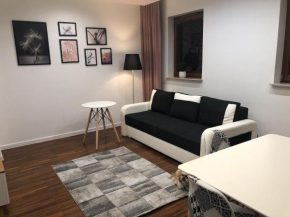 Apartament Scandinavia